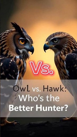 Owl vs. Hawk: Ultimate Hunter Showdown!
