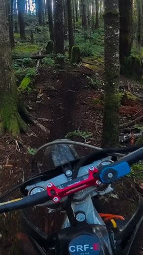 @surron_seattle on Instagram: "crf-e in the woods"