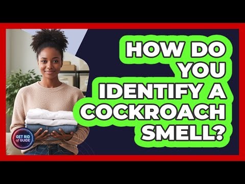 How Do You Identify A Cockroach Smell?