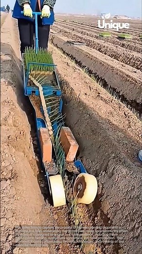 Planting crops with a machine: farmers planting crops with a machine in a field