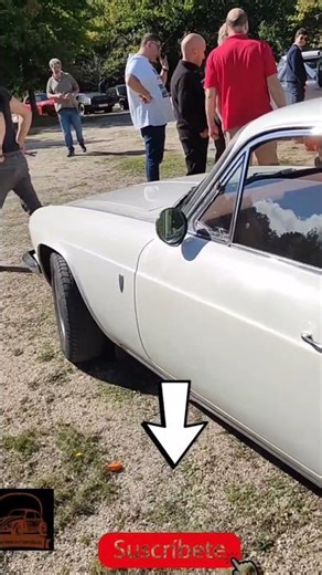 Interesting facts about the Reliant Scimitar GTE