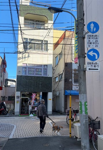 Explore Beautiful Everyday Scenery in Tokyo