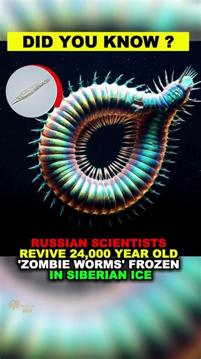 Frozen for 24,000 Years! Scientists Revive Ice Age Animals in Siberia | Shocking Survival Discovery