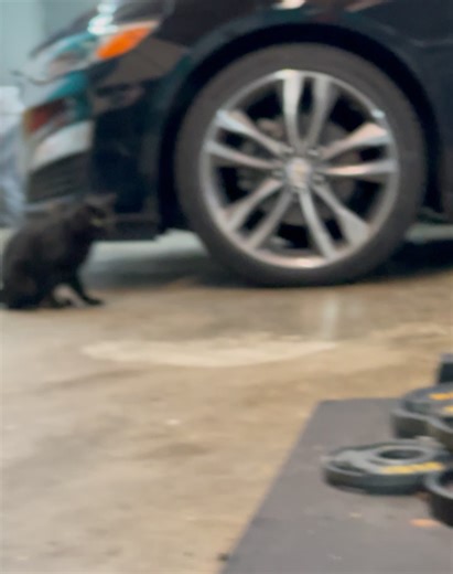 185 reactions · 18 comments | Brian Forsythe on Reels | Facebook