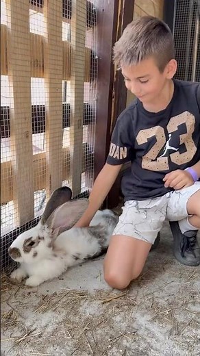 Learn About Flemish Giant Rabbits 🐇