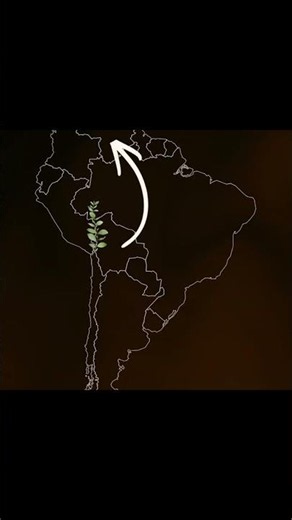 Narco Wars Explained: Full documentary out now!
