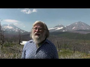 Van Life Jobs: Should YOU Work at AMAZON?