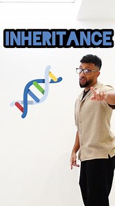 GCSE Paper 2 Biology revision - Inheritance #inheritance #genetics #parents #biology #gcse #science #teacher #school #rappingteacher #rappingteacher #exams #revision #gcse #stem #combinedsciencegcse | Matt Green