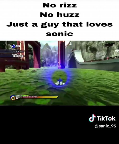 Sonic Unleashed: A Closer Look at Generations