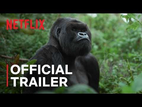 A Gorilla Story: Told by David Attenborough | Official Trailer | Netflix