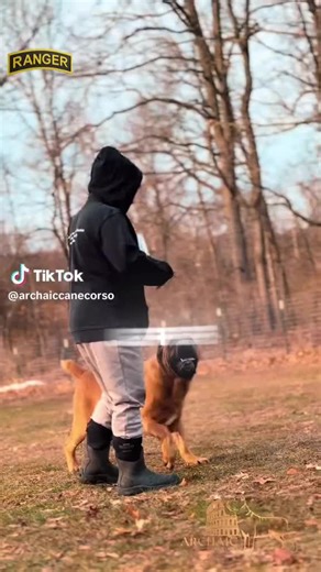 salahudeensalaam (@salahudeensalaam)’s videos with Lone Ranger - Rachel Platten