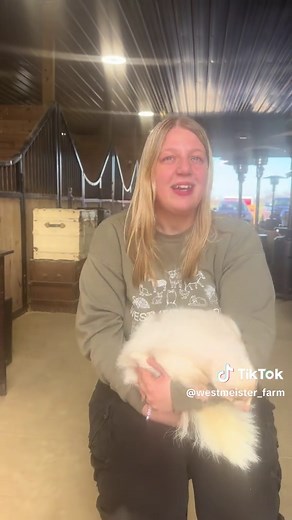Meet Jolene: The Lavender Skunk at Westmeister Farms