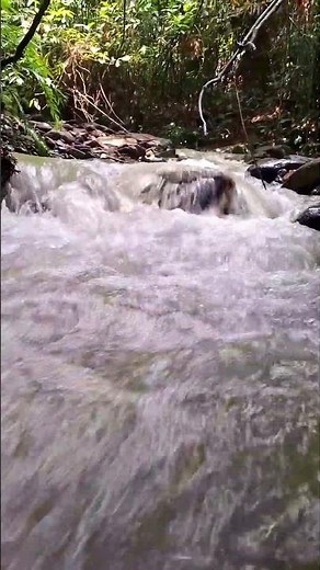 Amazing Running River Sounds/Relaxing Water Flowing Sounds.