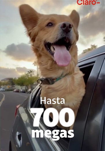 Claro Fibra: Navega a 700 Megas Sin Lag en Guatemala