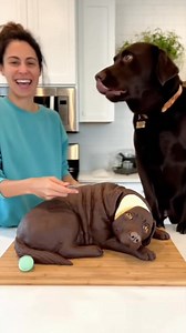 121K views · 791 reactions | She cut a dog cake and the real fat dog freaks out !!#dog #funnyreels #cutedogs #justcakes #reactstocake #dogs #doglover #prank | The Josyy | Facebook