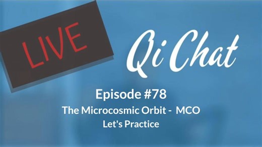 September Qi Chat - Microcosmic Orbit (90 mins) - Qi Chats - Qi Gong for Vitality