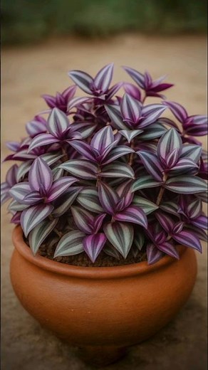 How to Repot Inch Plant 🌿 | Easy Potting Guide