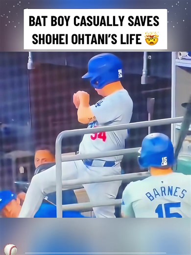 Baseball Highlights: Fun Moments in MLB