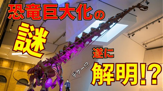 【解説】恐竜巨大化の法則が解明⁉恐竜の体重進化は緯度や気温に左右されたのか⁉【古知累すすむ】