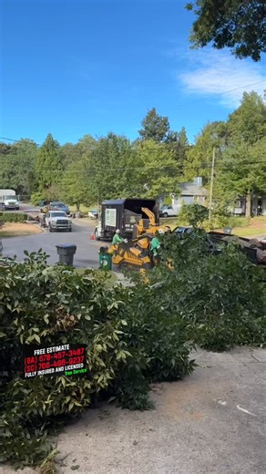 👷‍♂️We are in Lawrenceville,Ga (Tree Service Project) 🗣️Call us right now and get a #freeestimate ☎️(678) 457-3487 {GA} ☎️(706) 496-9237 {SC} ✅Fully Insured ✅licensed . . . #treeservice #TreeServiceProfessionals #treeservicenearme #treeservicecompany #treeworker #treeremoval #treeremovalexperts #treeremovalservice #arboristsofinstagram #usareels #Georgia #southcarolina #working | Jireh Tree Services & Landscaping