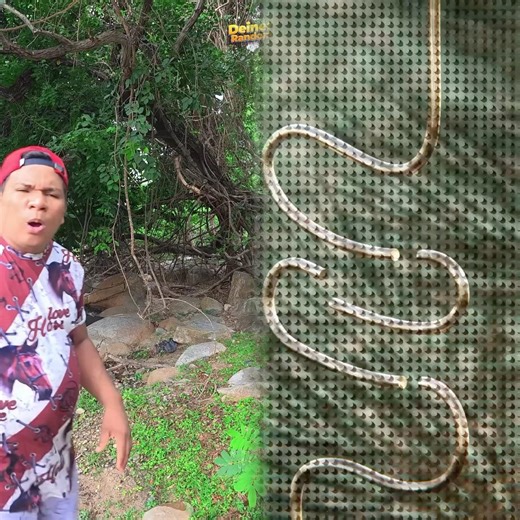 Give me a call #shortvideo #comedy #humor