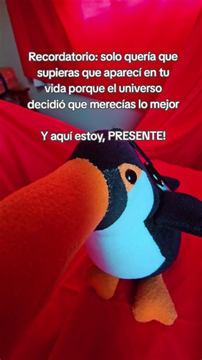 Miren, el universo no suele ser tan generoso, pero con vos decidió hacer una excepción de logística espiritual de alta gama. No fue el azar, ni un error en el algoritmo del karma; fue una decisión ejecutiva de las esferas celestiales que llegaron a la conclusión de que ya habías sufrido suficiente y que merecías, por fin, un estándar de calidad superior. Así que acá estoy: el recordatorio viviente de que el cosmos, cuando quiere, tiene un gusto exquisito para elegir a quién ponerte adelante.