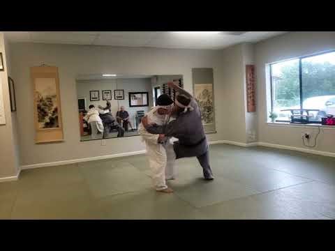 O Soto Gare - Leg Sweep - High Bridge (Aikido/Aikijujutsu)