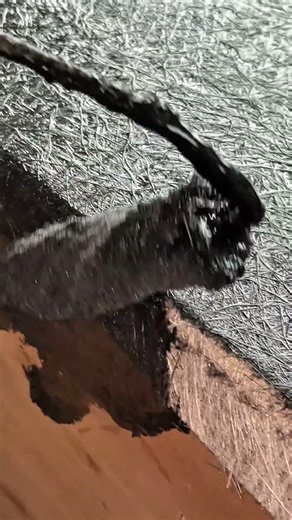 Resin application process #tutorial #woodworking #resin