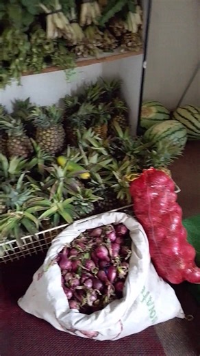 13 reactions | Look at what we have today, first tray of chickpea muffins and seed bread rolls are ready ,still hot ,‍♀️‍♀️‍♀️run to the hub of good food | Sue's Wellness Hub | Facebook