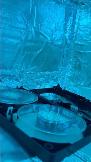 How we clean super moldy VHS tapes with UV light #vhs #videotape #mold #ultraviolet