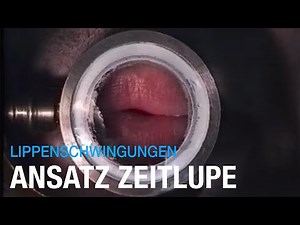 Die Lippenschwing bei Trompete und Posaune. Zeitlupen Einblicke in das Mundstück