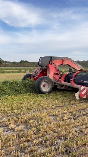 Alejandro Valladaares on Instagram: "Marge Maxx 950 裡"