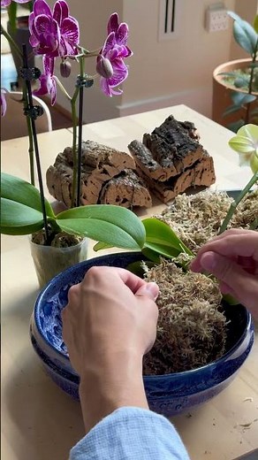 Kokedama Board Tutorial!
