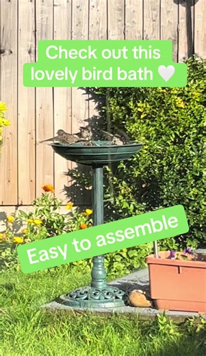 Affordable Birdbath Loved by Birds
