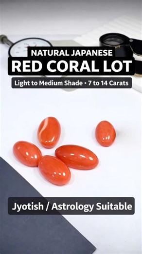 Japanese red coral munga cabochon flat oval 7 14 carat ratti jyotish gemstone astro astrology vedic