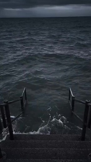 Why ?! #luvblink🍫 #watb💎✨ #vrs🎠🌈 #rieth_🎼🃏 #doelee_team💞 #violet_🌷 #qx🍰 #nmth_😏🌸 #jera🐰 #jsm🌿 #keygrp🐰 #coffee☕🌠 #minhdautrocne🥀💍 #wix_🧸 #seri🍊 #nie🐧🐧 #blink_bp🖤💗 #suuz🔮 #minna_🍥🥟 #t1ce👑 #yuki_team🎎 #hie🍯 #cid🥀 #🥥nie_gr🌴 #yin🌦️ #izy_🍮 #hime_🍇 #🦋cies🌱 #casy🍇 #xz_🌿 #channie_team🌻 #dnn_🌻 #🌼lice🌼 #kiv_🎐 #salt🍁 #wonii_🌷✨ #piiiz🍉 #ecy🍮 #ʙᴇᴇ📷 #🍎táo🍎team🍎 #est_🍸 #🍀aile🐋 #flw💸 #spj_team👑 #rbt🍓 #teawachi🍭✨ #roy_team🥀 #poo🥑 #lul_team🐛 #nie_🌻 #s