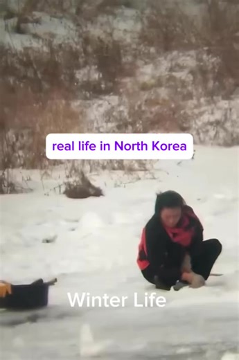 Winter by the Yalu River. A couple, a cow, and frozen water. No script. Just everyday life in rural North Korea.#northkorea #reallife #rural#daily#dprk
