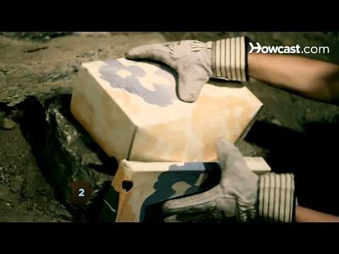 How to Get Rid of Bats