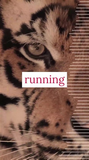 How do you define fear? What is its depth? Beyond just the danger, is there more to fear? Fear is harmful if not handled appropriately and captured to use you beneficially. https://www.fatherseekers.org/ * /podcast * /coaching * /FatherFuel https://www.youtube.com/@fatherseekers #fear #fatherwound #fatherlessness #underfathered #fatherfailure #fatherfault #fatherhood | Fatherseekers