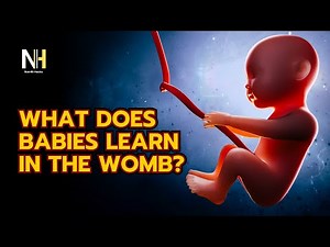 4 Essential Things Your Baby Learns in the Womb for a Healthy Start