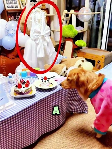 Watch till the end for the ultimate betrayal 💀🐶 #shorts