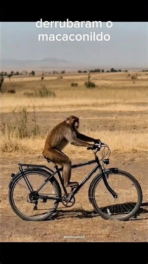 animais engraçados #comedy #humor #memes #viral #animals #funny