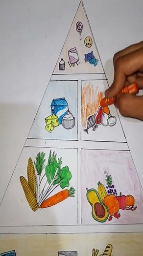 Balanced diet chart drawing for school project | Balanced diet chart | Balanced diet diagram