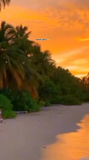 Vidéos de momo_lyrics (@momo_lyrics) avec son original - momo_lyrics