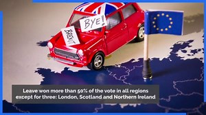 Brexit - The EU referendum: Who voted for what