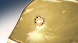 Best of the best (2016) PL