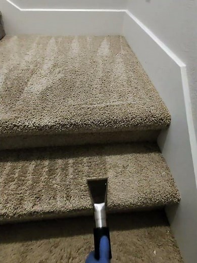 Deep Staircase Carpet Cleaning with Hot Water Extraction #friscotx #allentx #mckinneytx #dfw