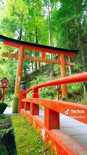 美しい京都✨ / Beautiful spots in Kyoto✨ ・崇道神社 / Sudō Shrine ・法然院 / Hōnen-in Temple ・貴船神社 / Kifune Shrine #kyototrip #kyototravel #kyotojapan #京都旅行 #京都観光