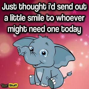 46K views · 1.4K reactions | Love Video Quotes on Reels | Facebook