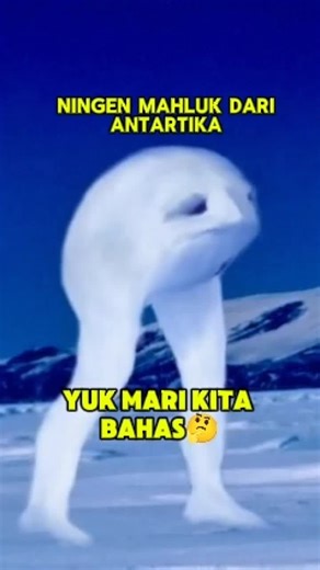 Legenda Ningen: Mysterious Sea Creature of Antarctica